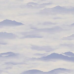 clr4 006 1m