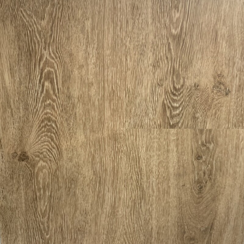 Дуб Брюссель