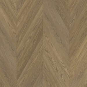 Oak CH Nova Elite Havana