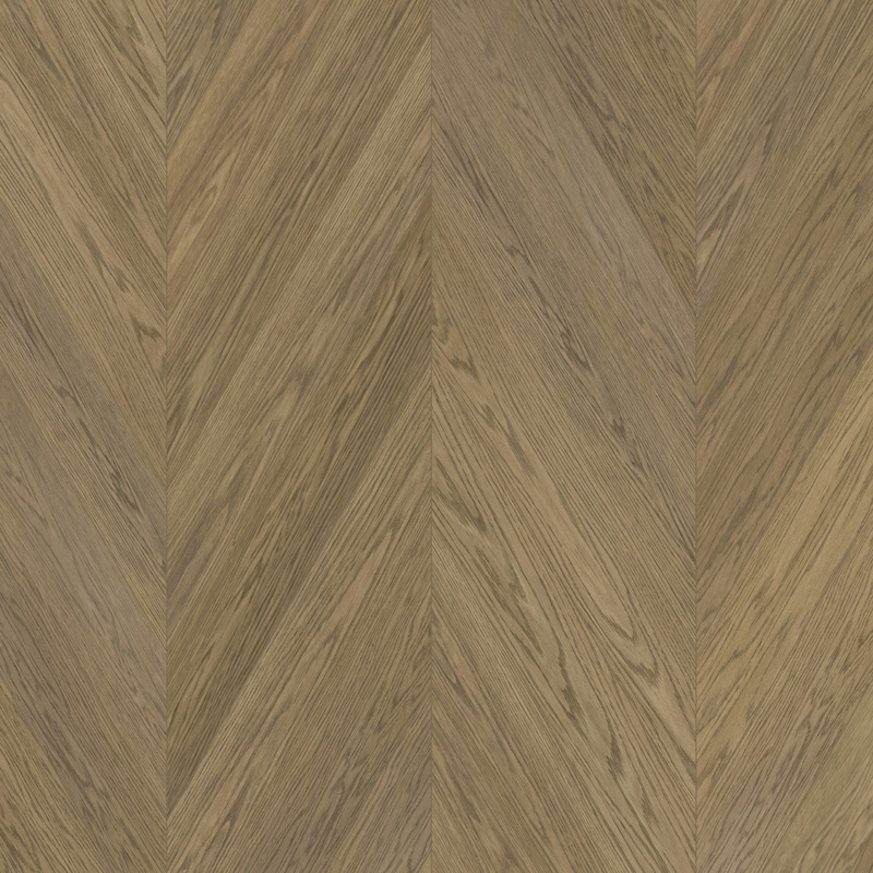 Oak CH Nova Elite Havana