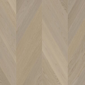 Oak CH Nova Elite Dazy