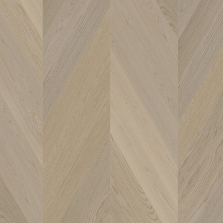 Oak CH Nova Elite Dazy