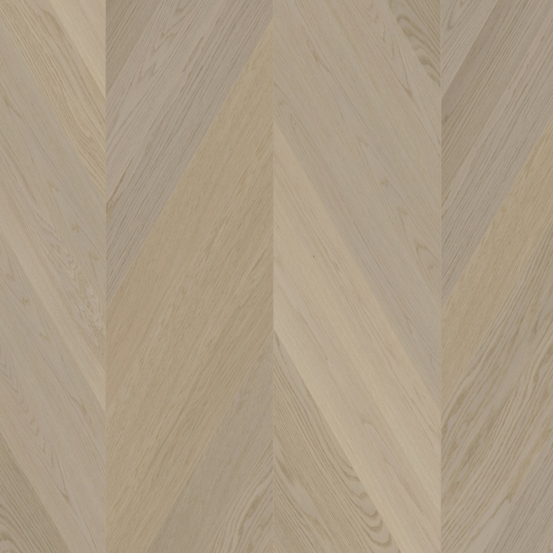 Oak CH Nova Elite Dazy