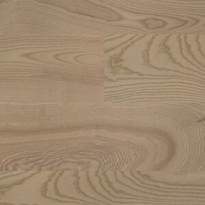 Ash Elegant Elephant Grey