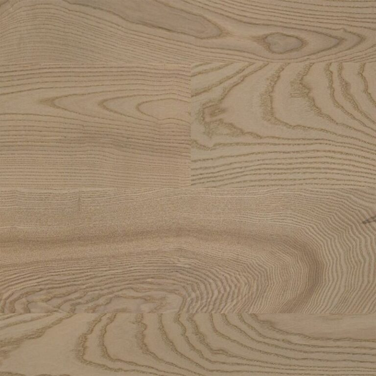 Ash Elegant Elephant Grey