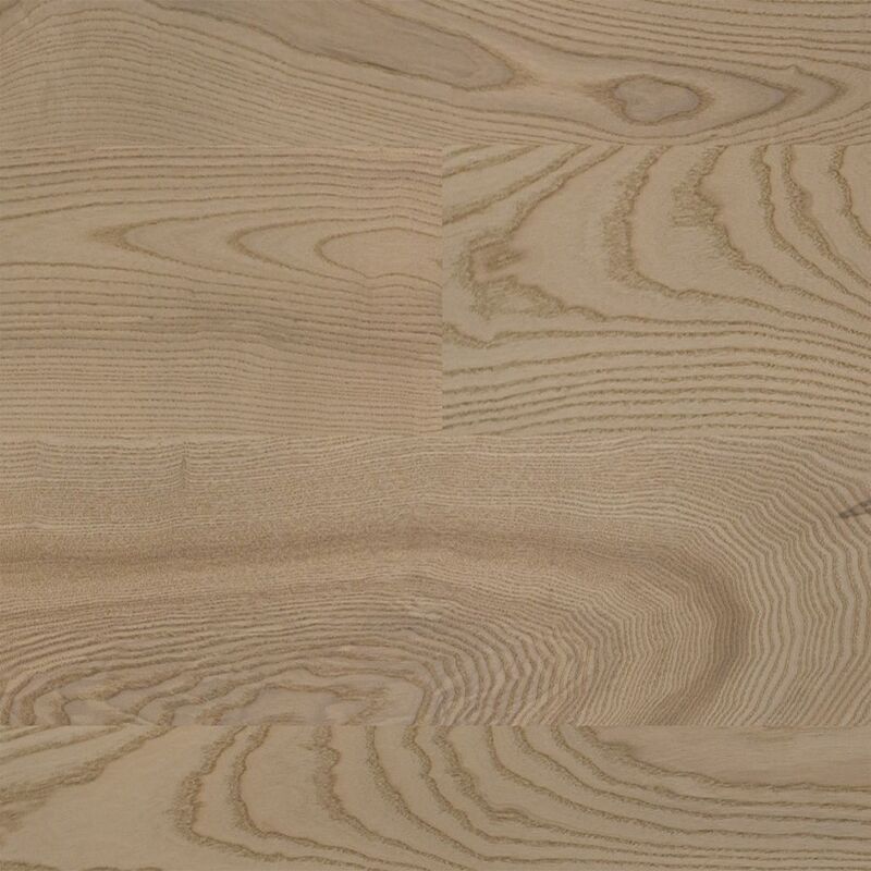 Ash Elegant Elephant Grey