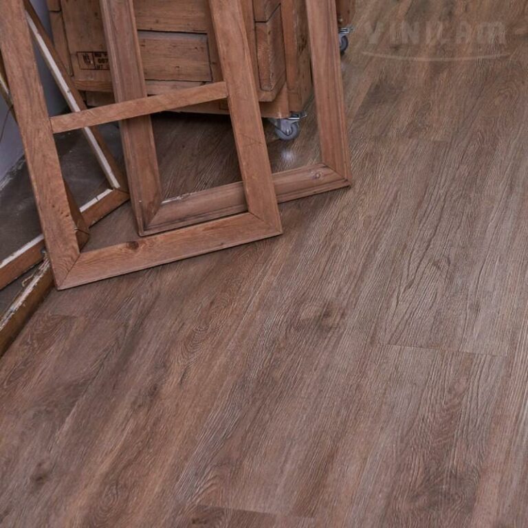 Дуб Оливковый