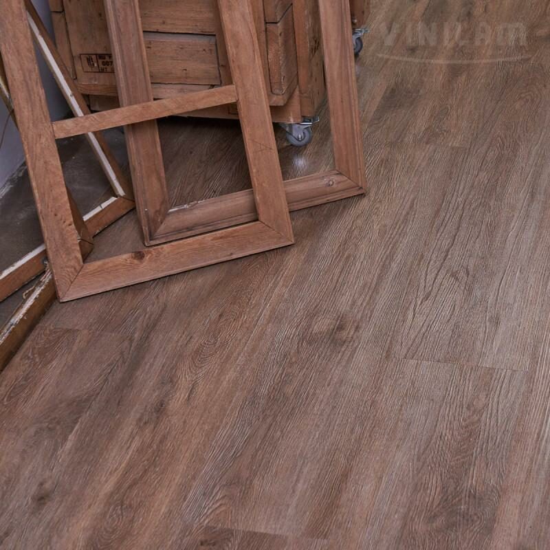 Дуб Оливковый