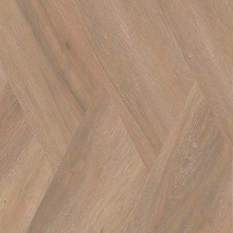 Divine Oak — Cookie