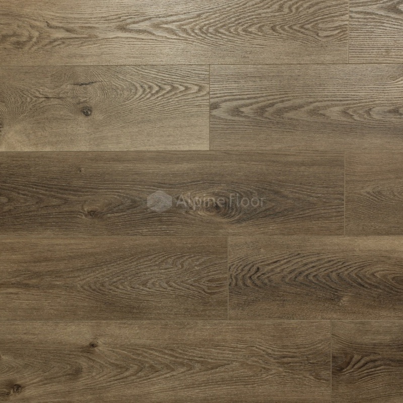 Каменные Джунгли