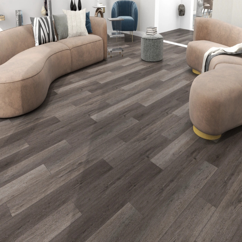 Дуб Сантана