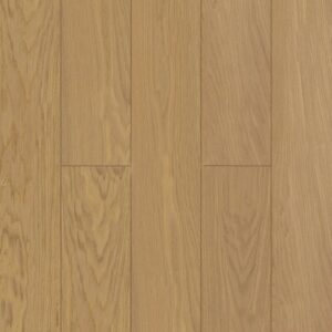 Дуб Миндальный