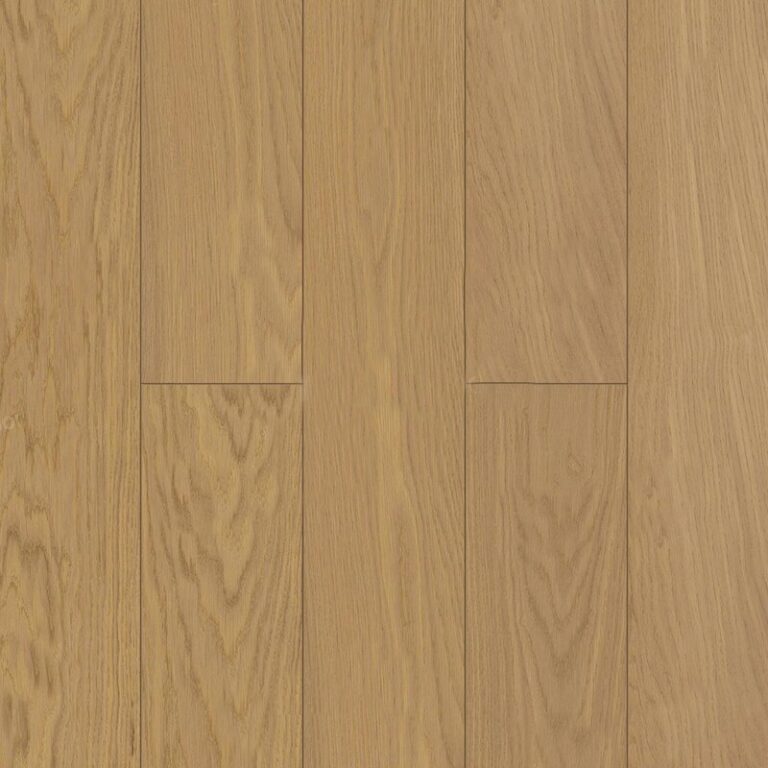 Дуб Миндальный