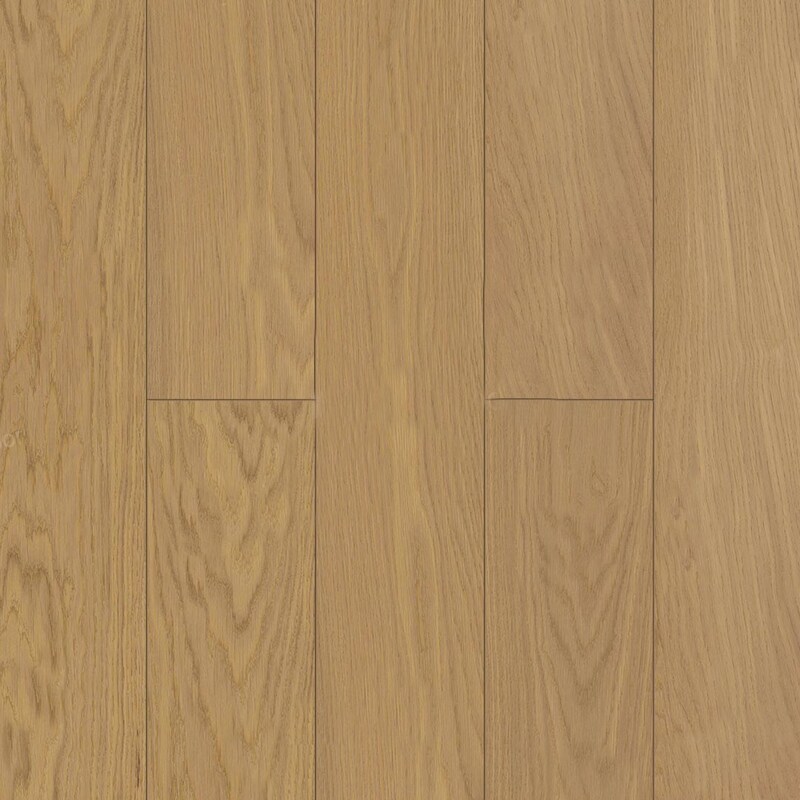 Дуб Миндальный