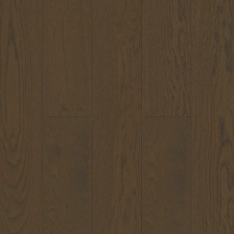 Дуб Вулкано