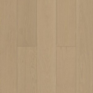 Дуб Шампань