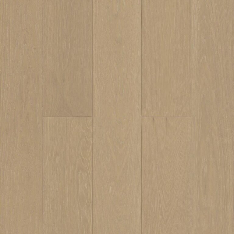 Дуб Шампань