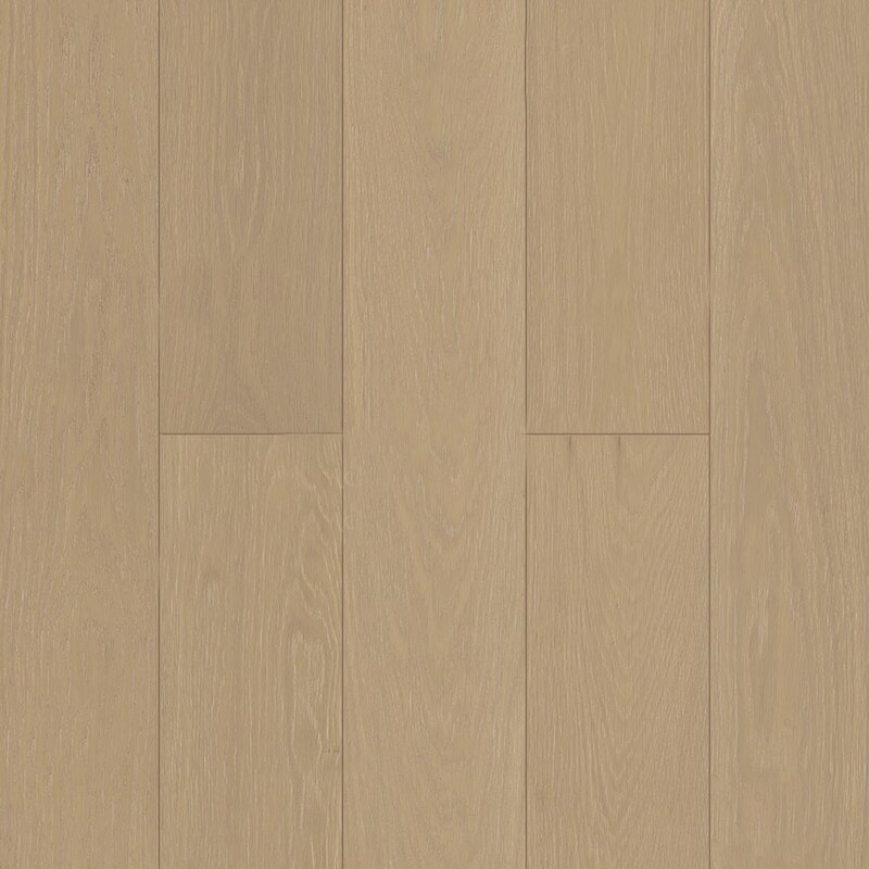 Дуб Шампань