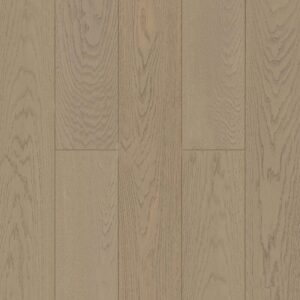 Дуб Альпийский