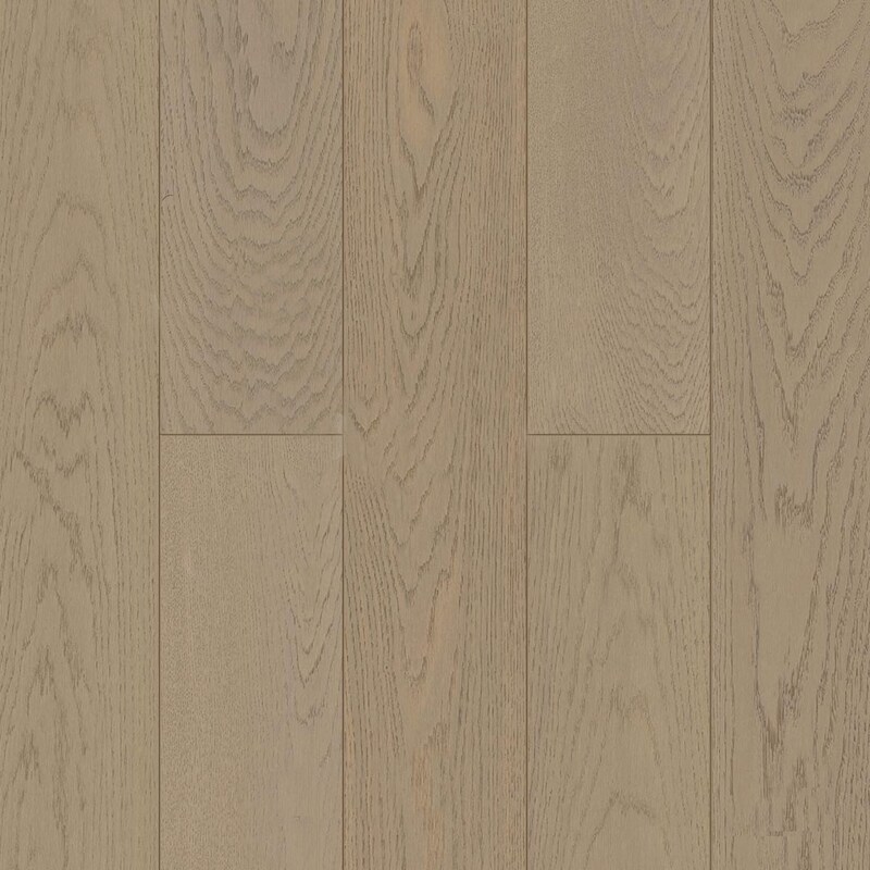 Дуб Альпийский