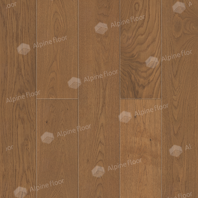 Дуб Имбирный