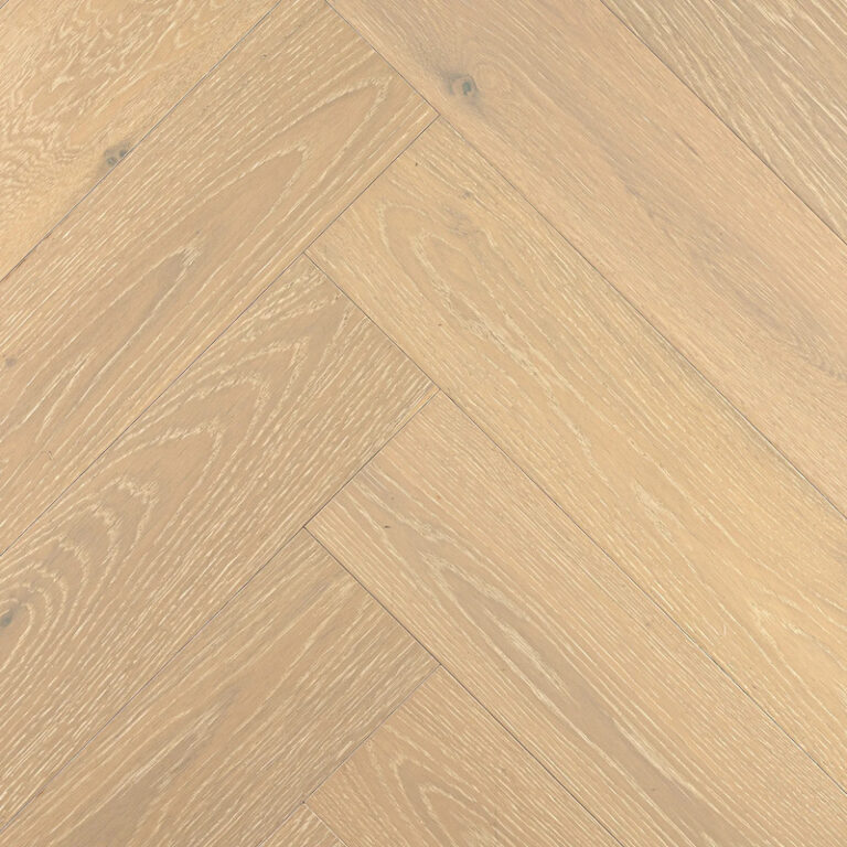 Дуб Шампань