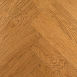 Дуб Имбирный