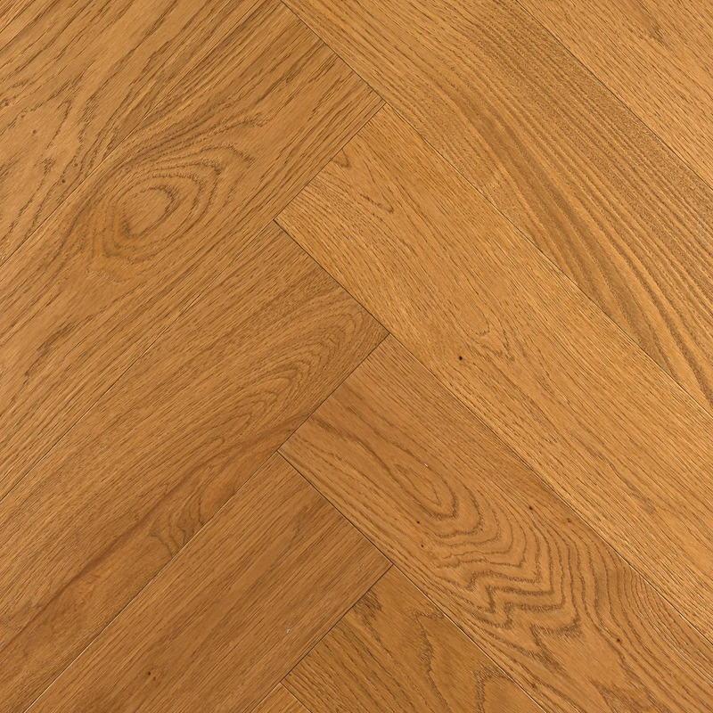 Дуб Имбирный