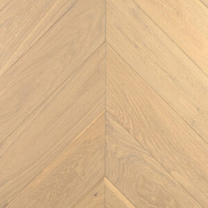 Дуб Шампань