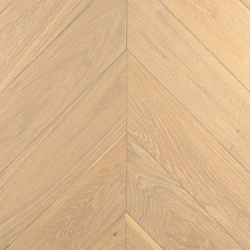 Дуб Шампань