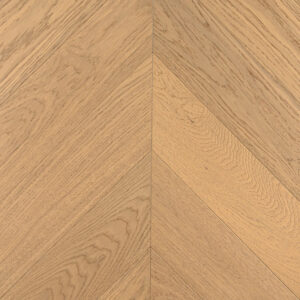 Дуб Амаретти