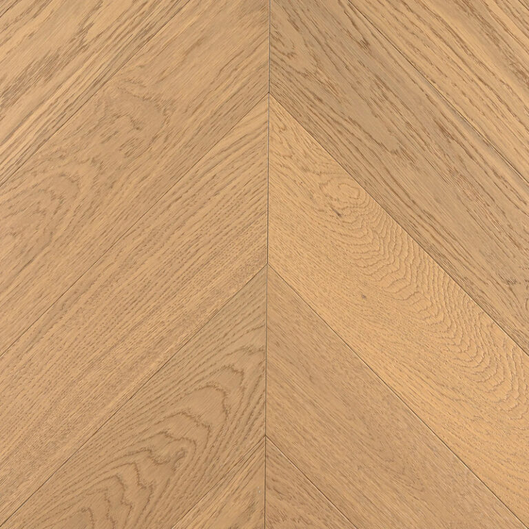 Дуб Амаретти