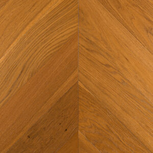 Дуб Имбирный