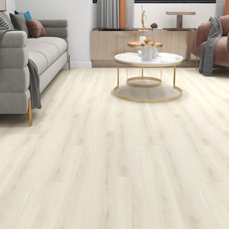 Дуб Сандбар