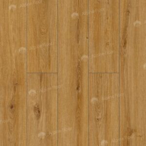 Arteo Дуб Котор