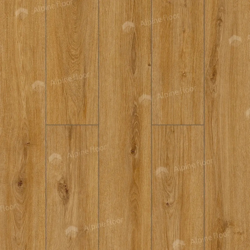 Arteo Дуб Котор