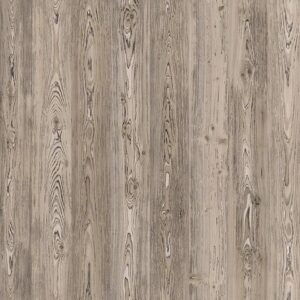 Arto Сосна Корнелис