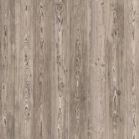 Arto Сосна Корнелис