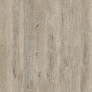 Arto Дуб Шарден