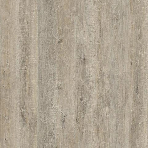 Arto Дуб Шарден