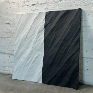 Дикий парус