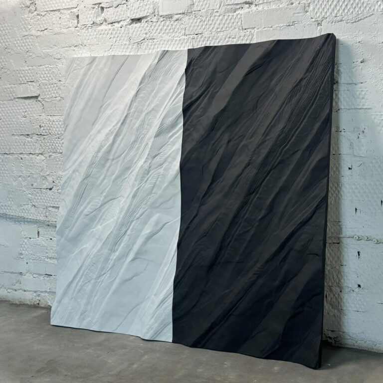 Дикий парус