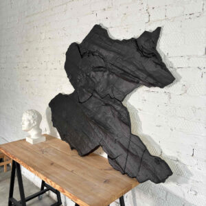 Дикий парус