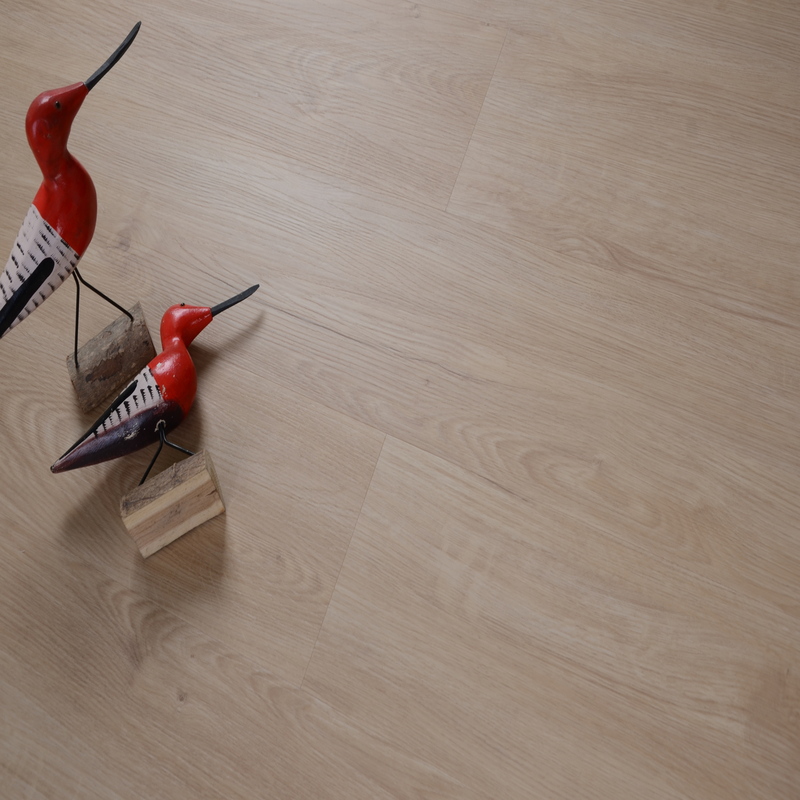 Oak Gavana (Дуб Гавана)