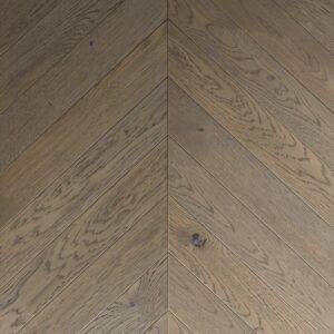 GreenLine 407 Шамплейн