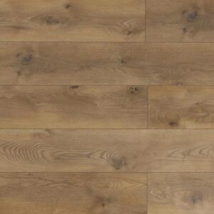 Mega 12 Дуб Кёльн