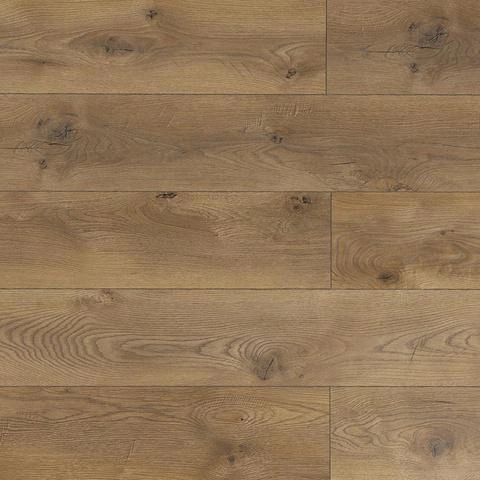 Mega 12 Дуб Кёльн