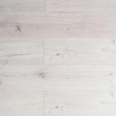 Mega 8 Дуб Токио