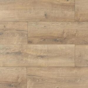 Mega Evolution XL Дуб Дакка