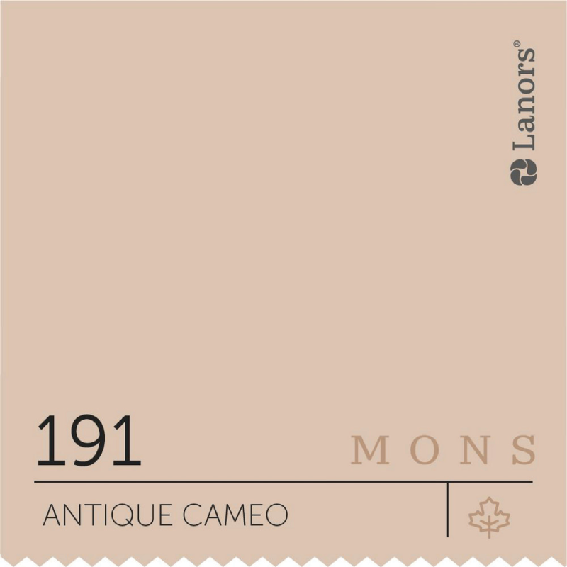 Antique cameo 191